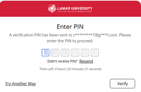 enter-pin-number
